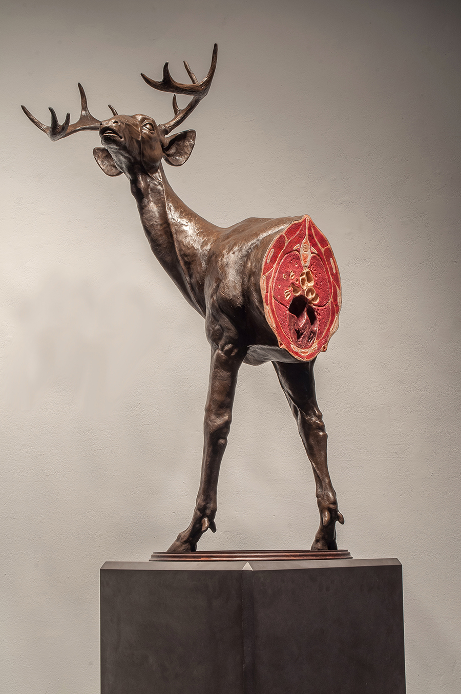 Untitled Deer Study by Jesse Berlin