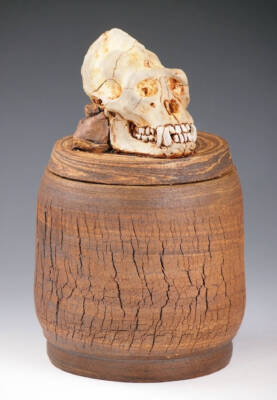 Mountain Gorilla Skull Apothecary Jar by Jesse Berlin